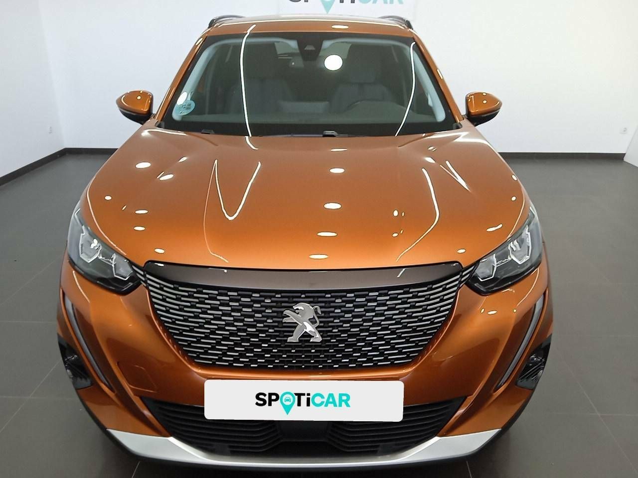 peugeot 2008 2023 / foto grande (2)
