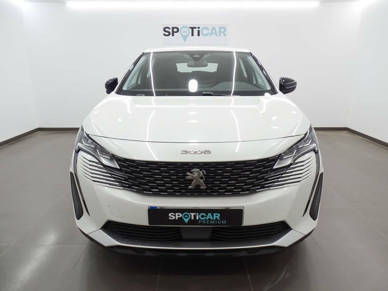 peugeot 3008 2022 / foto grande (2)