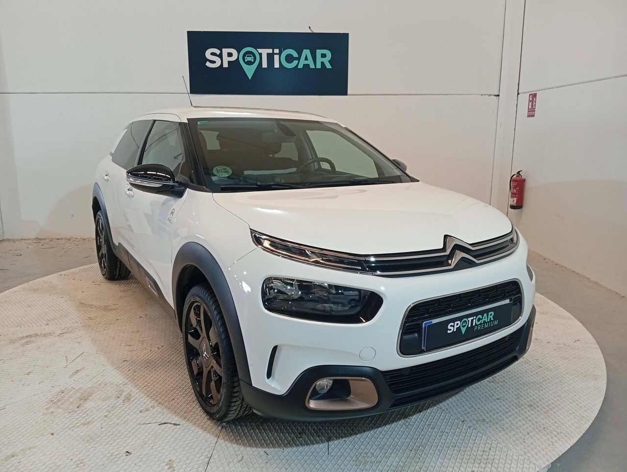 citroën c4 cactus 2019 / foto grande (3)