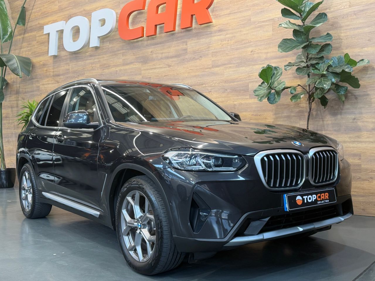 BMW X3 2.0 xDrive xLine  Techo