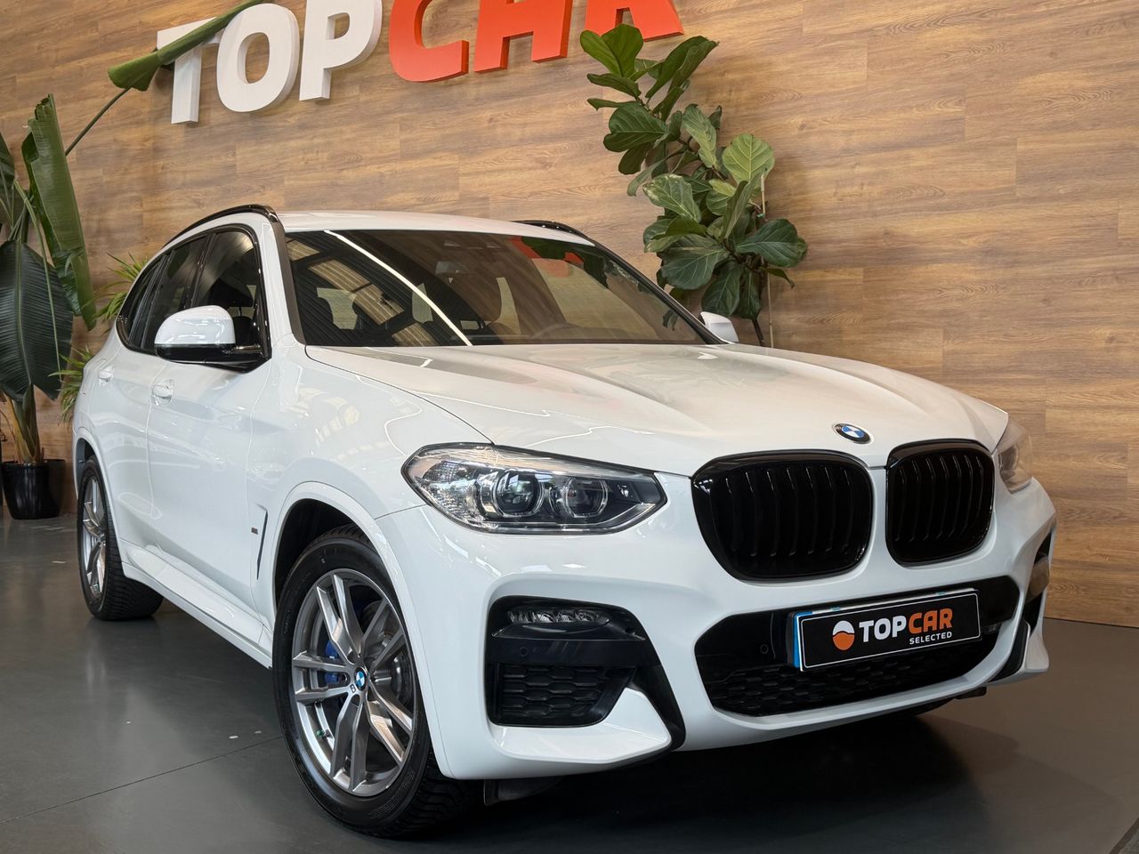 BMW X3 xDrive30e xLine