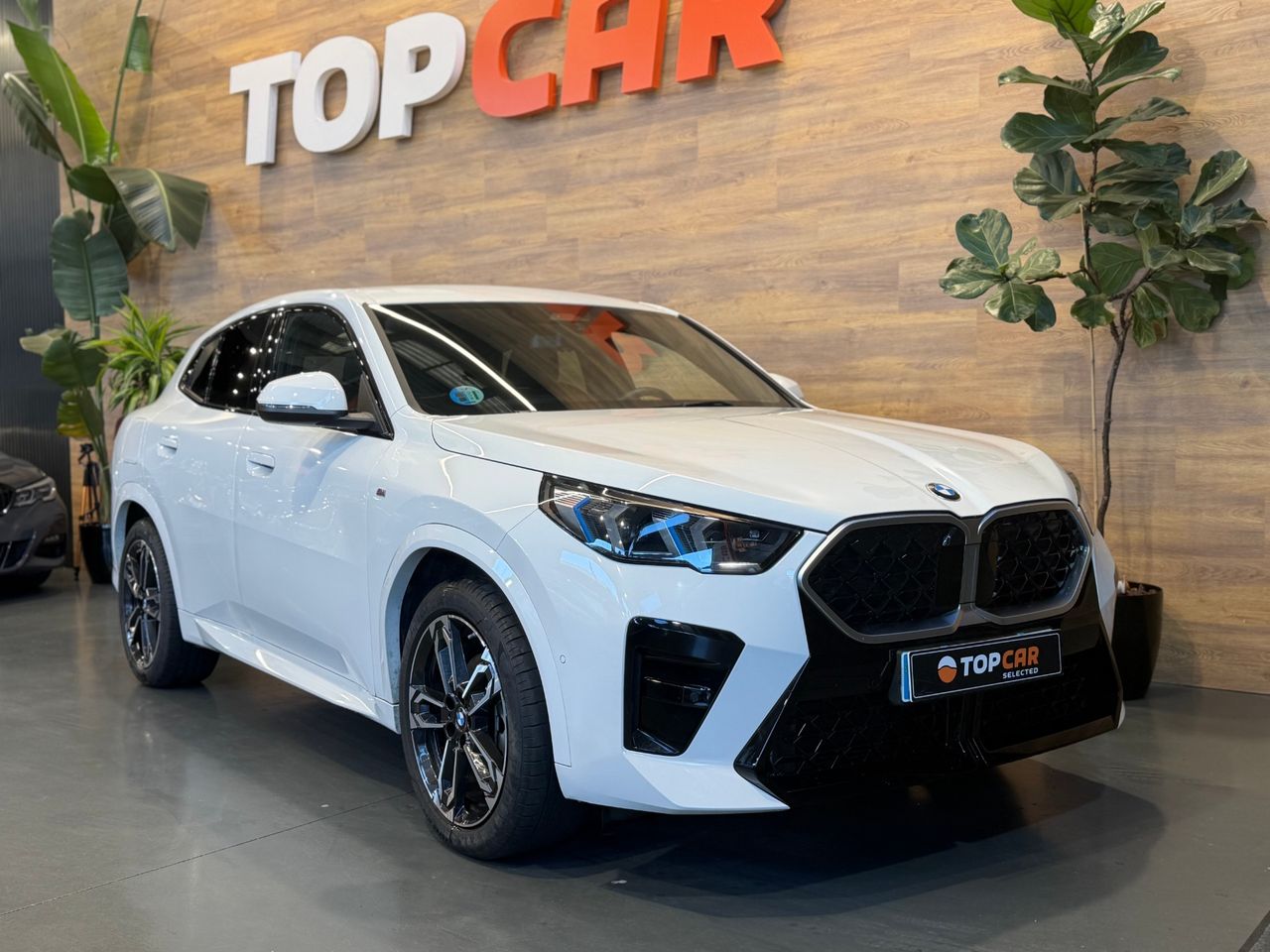 BMW X2 X2 2.0 Sdrive   M Sport