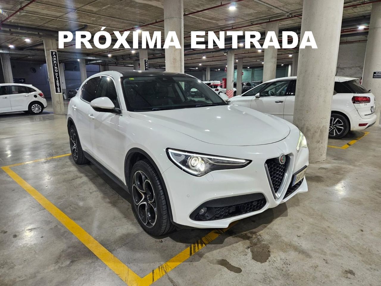 Foto alfa romeo stelvio 2019 /