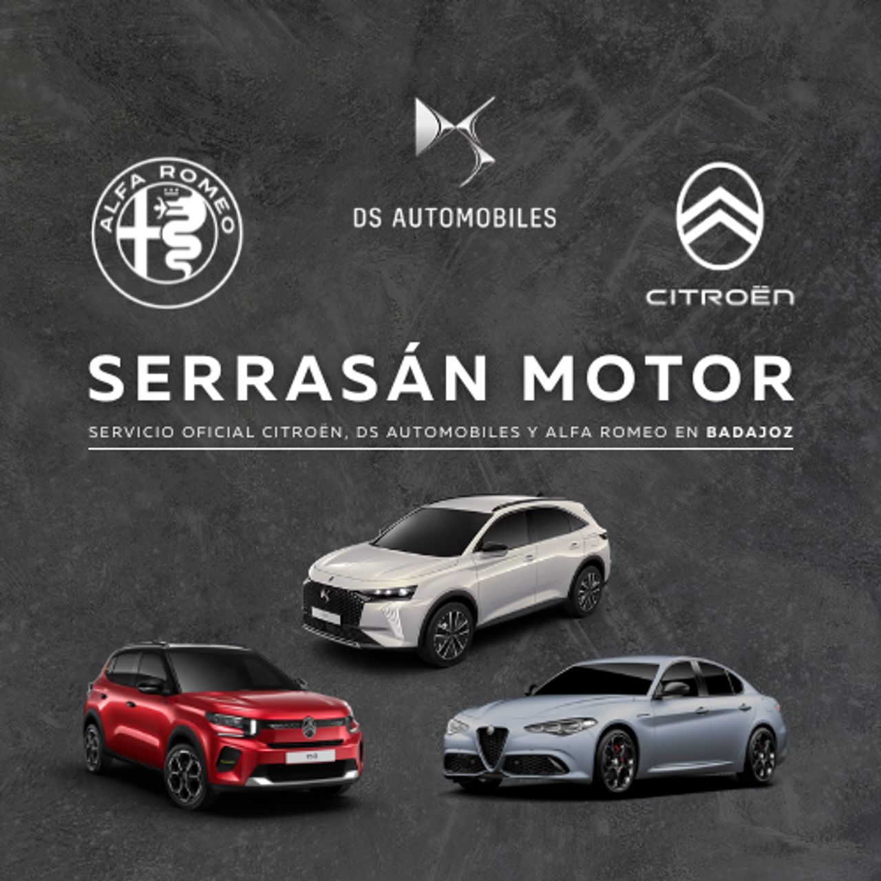 Alfa Romeo Stelvio 2.2 Diésel 154kW (210CV) Executive Q4 - Foto 17