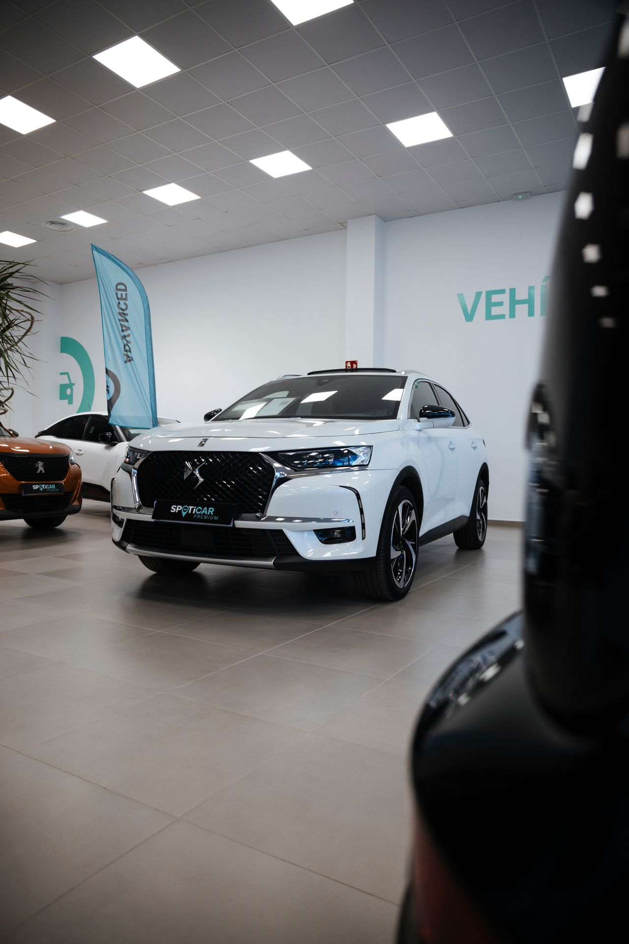 Citroën C3 PureTech 83 S&S Shine - Foto 16