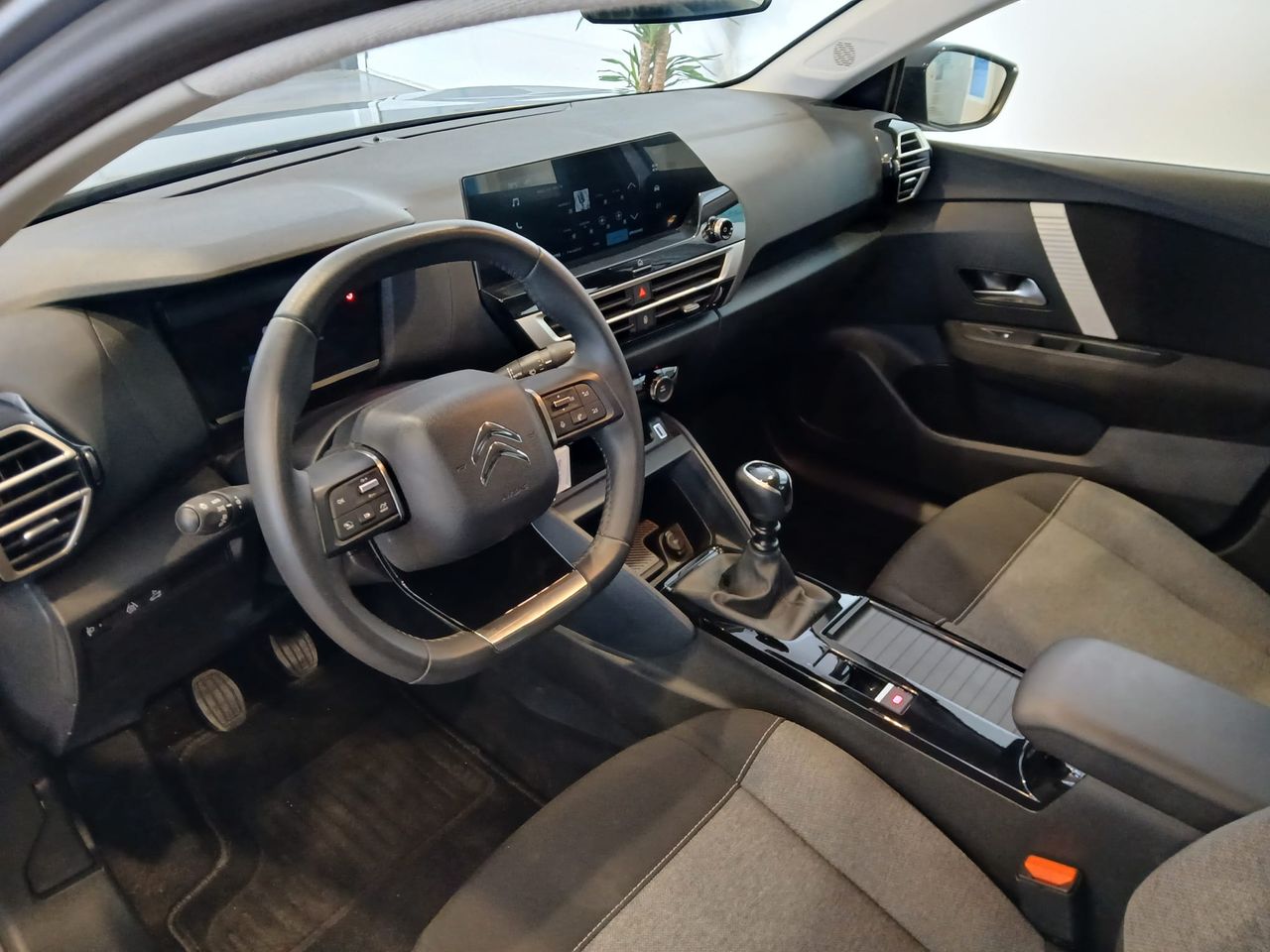 Citroën C4 PureTech 100 You - Foto 10