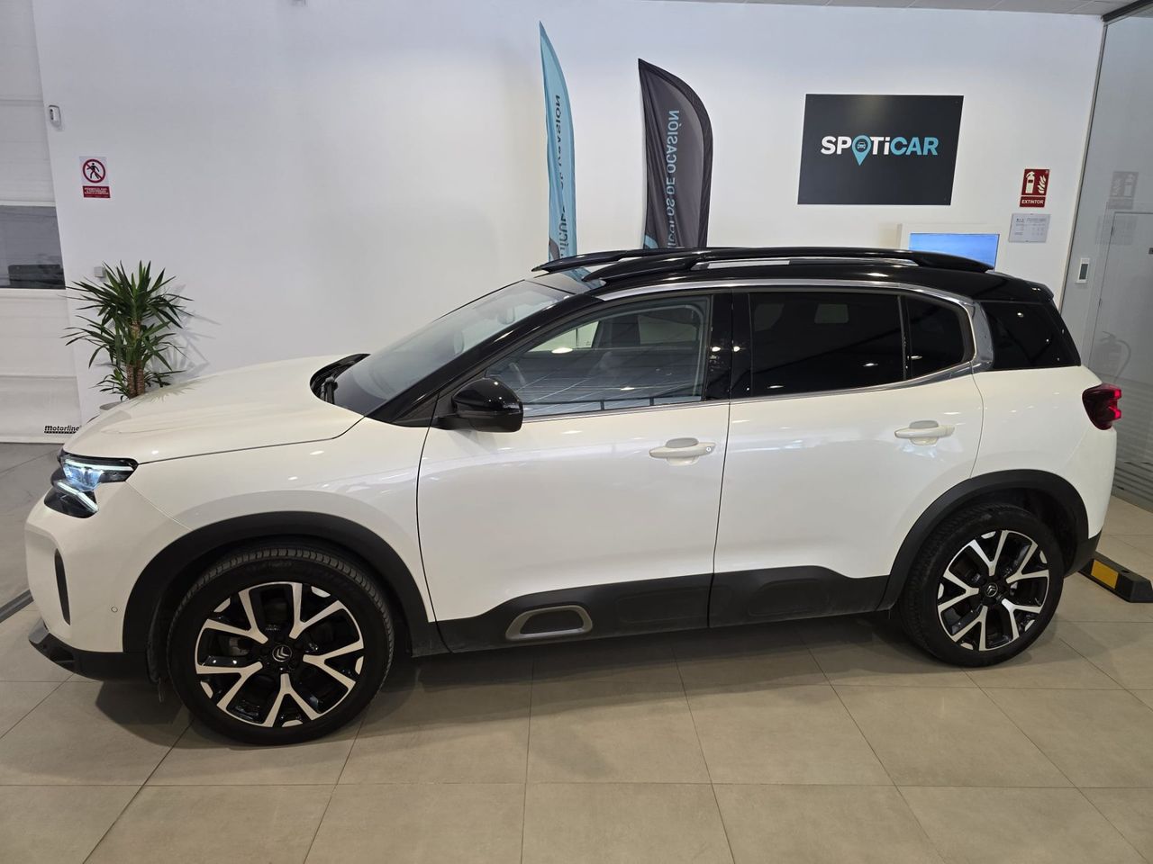 Citroën C5 Aircross PureTech 130 EAT8 Shine Pack - Foto 4