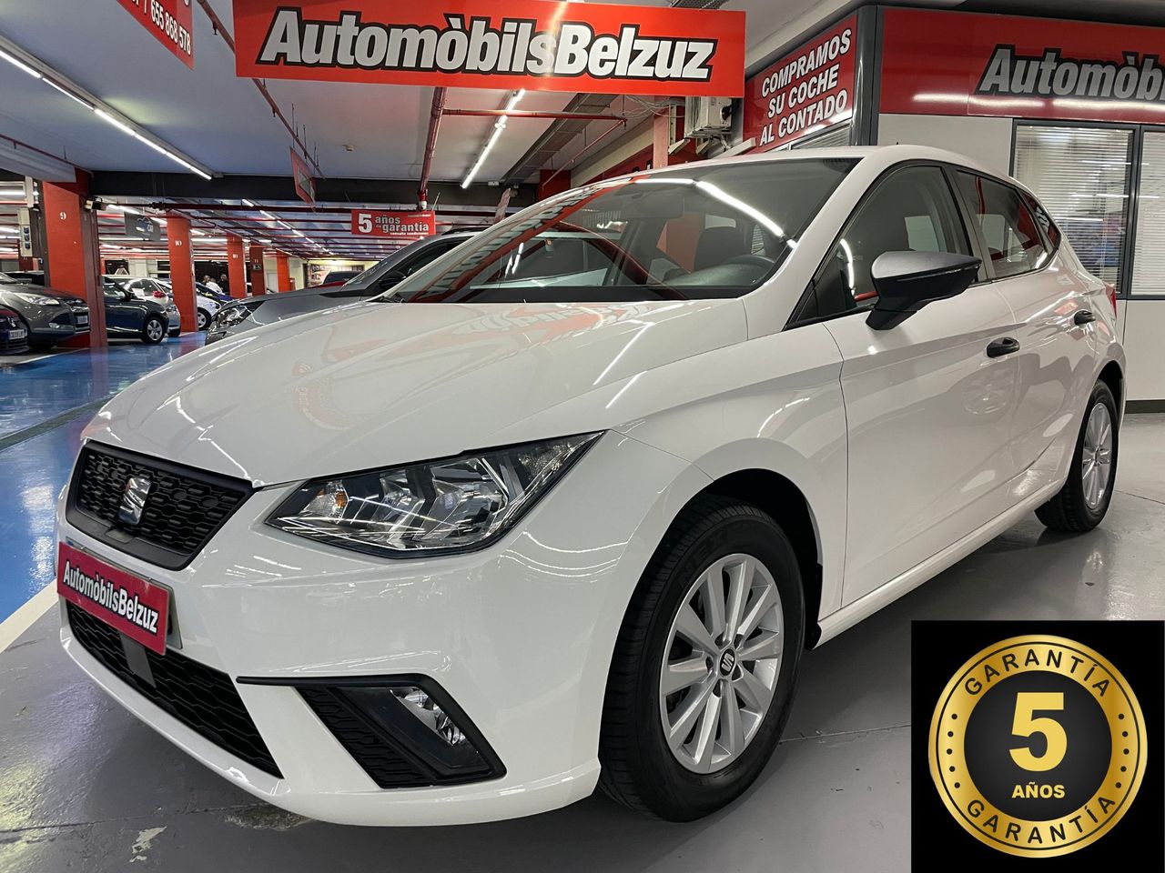 seat ibiza 2019 /