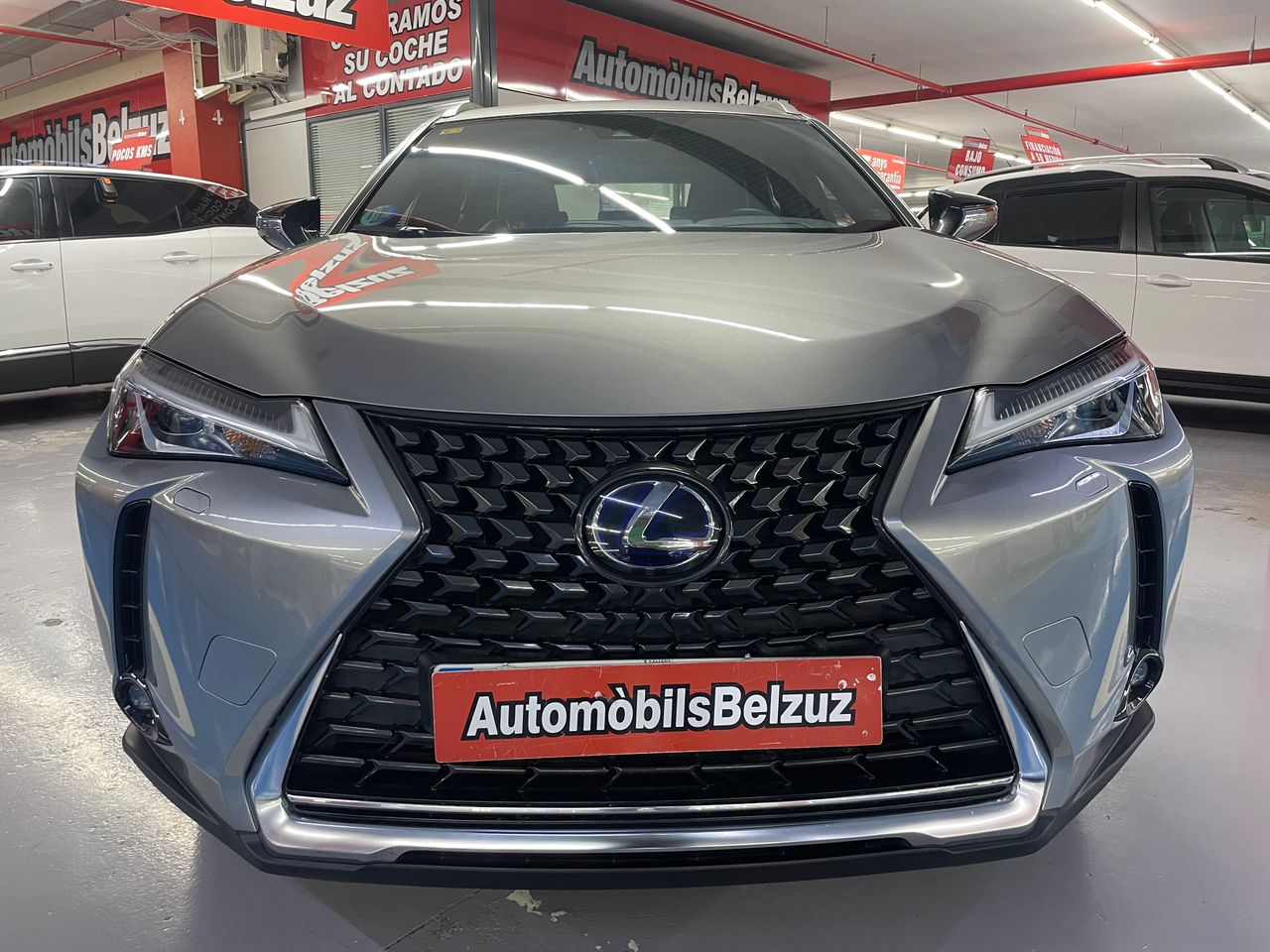 lexus ux 2020 / foto grande (2)