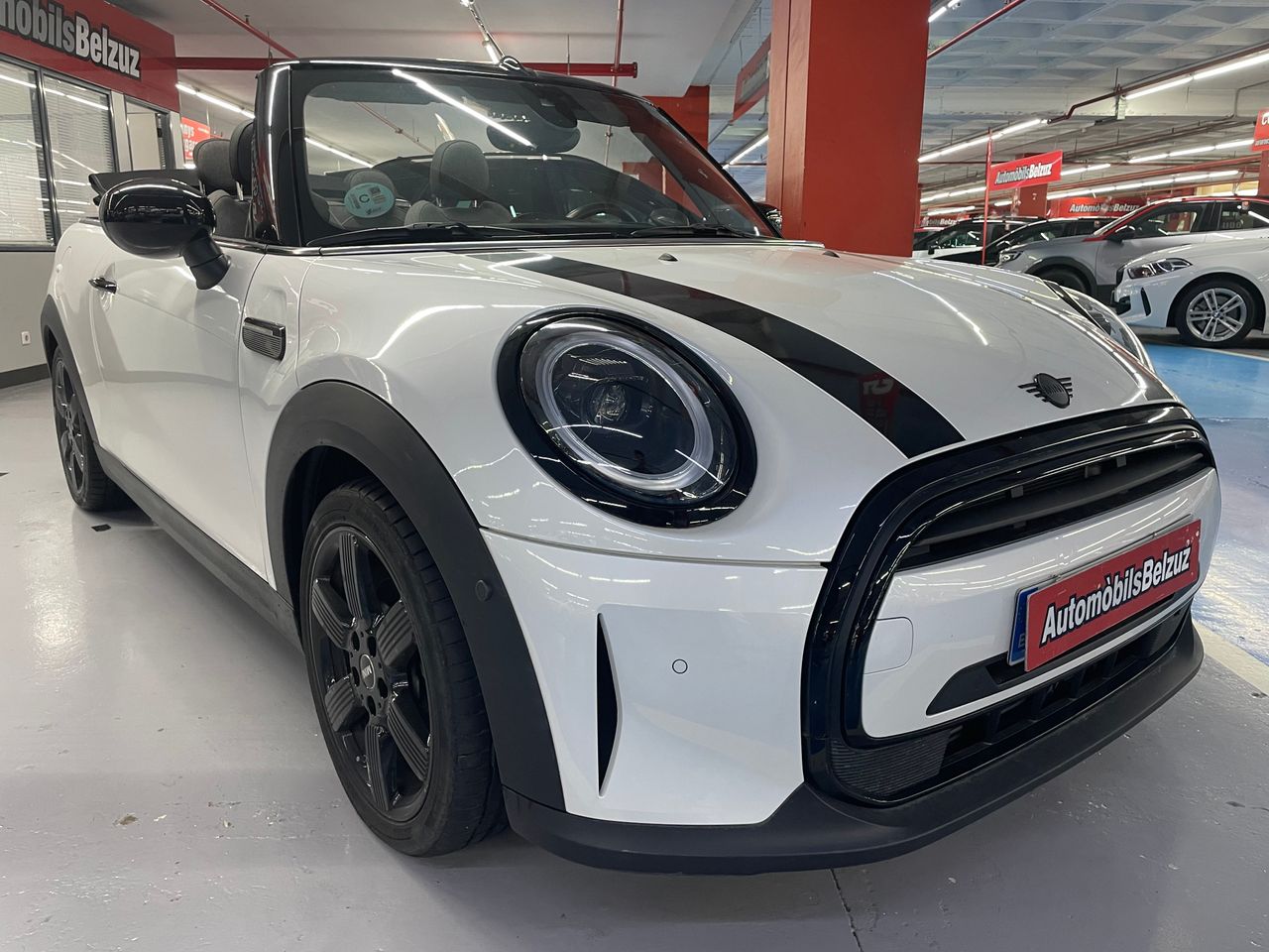mini cabrio 2024 / foto grande (3)