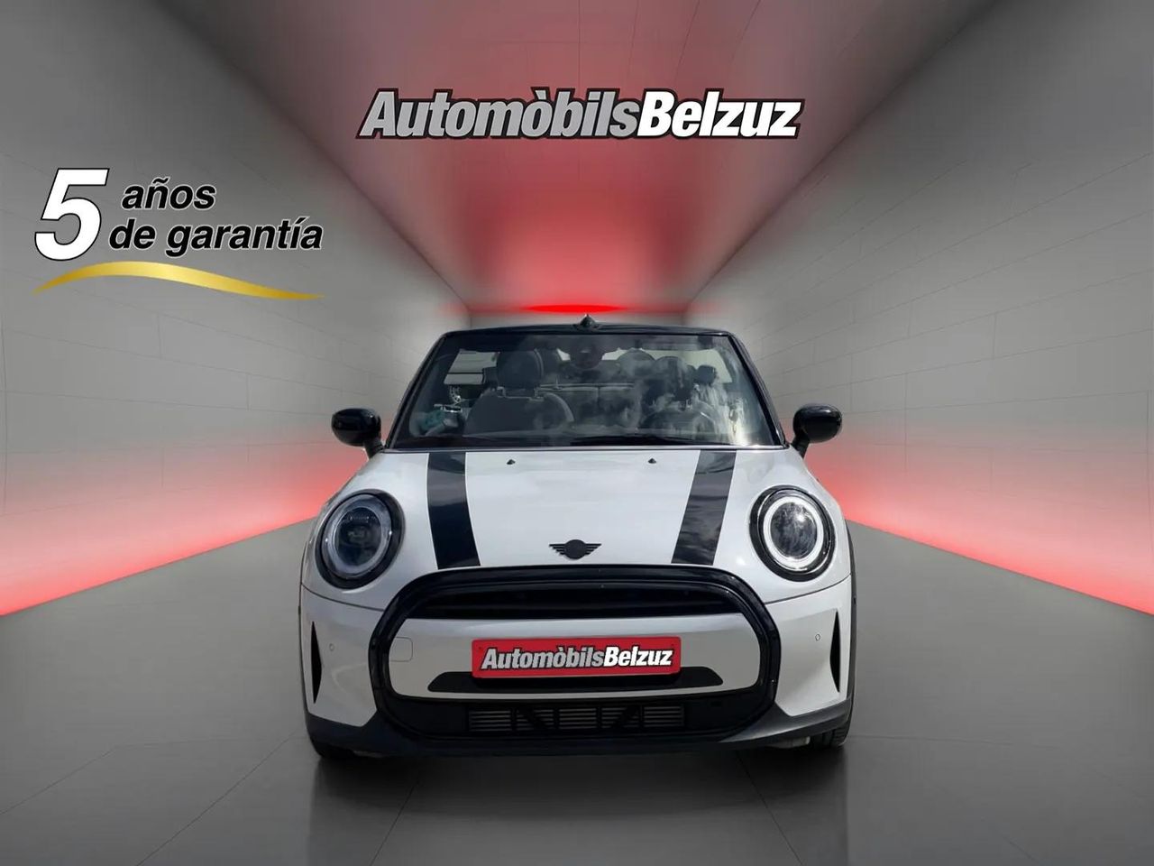 mini cabrio 2024 / foto grande (2)