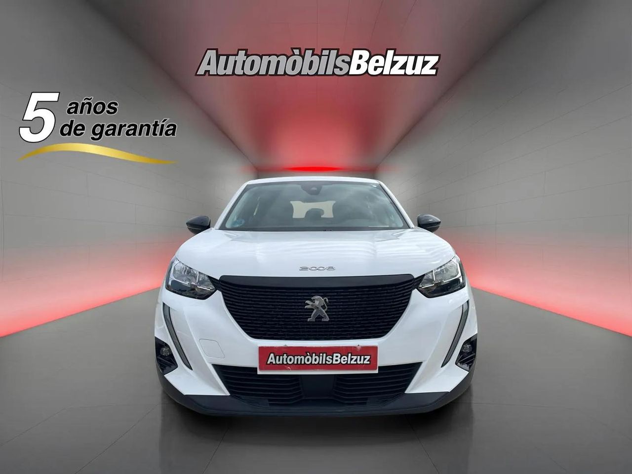 peugeot 2008 2020 / foto grande (2)