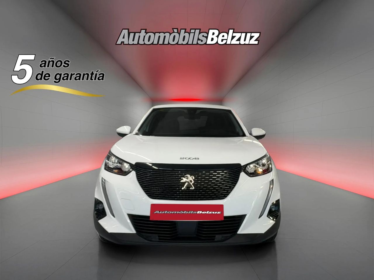 peugeot 2008 2020 / foto grande (2)