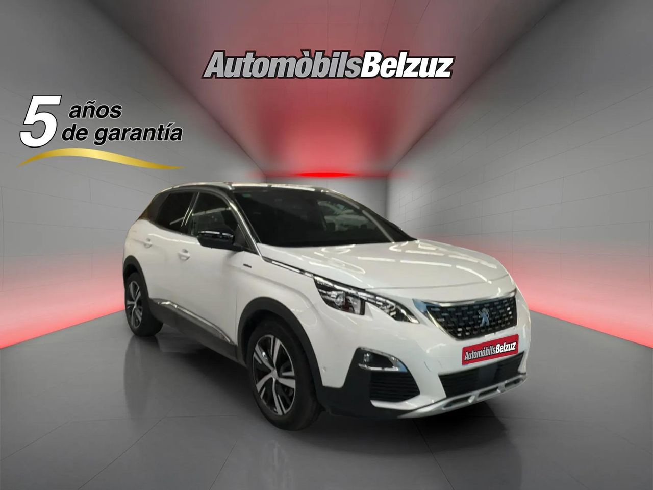 peugeot 3008 2019 / foto grande (3)