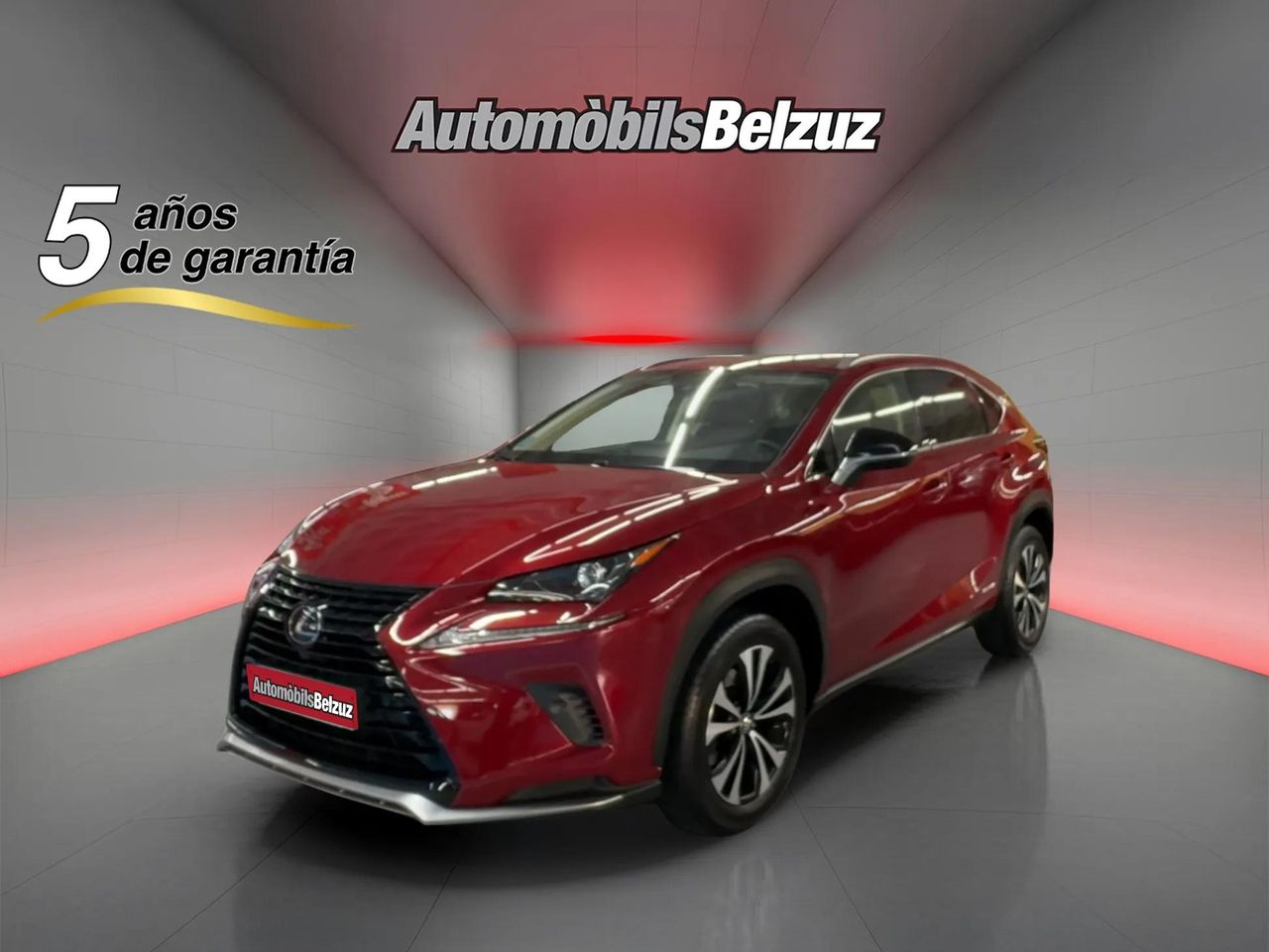 Foto lexus nx 2022 /