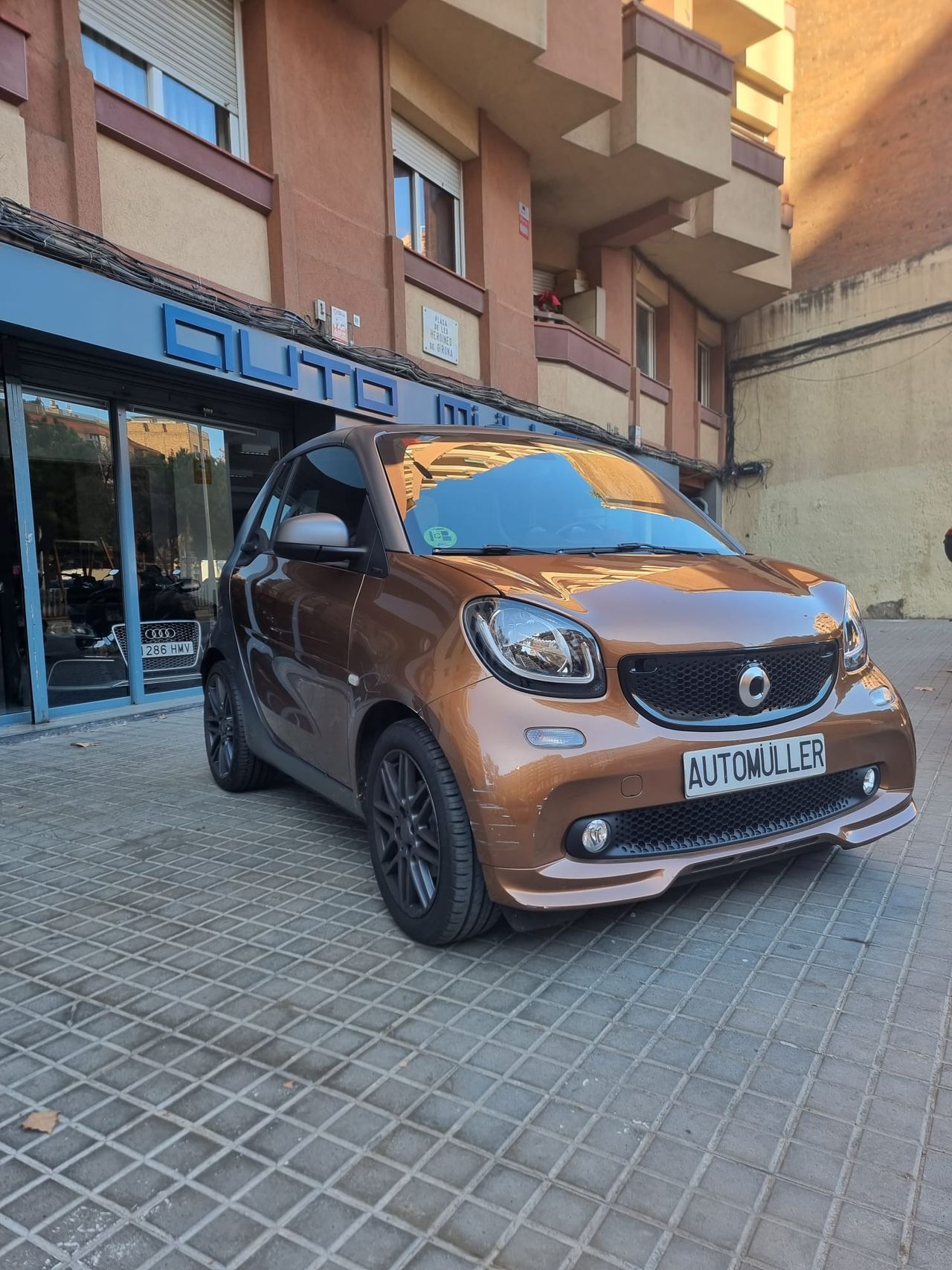smart fortwo cabrio 2016 / foto grande (2)