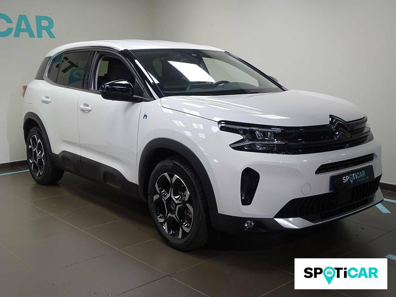 citroën c5 aircross 2023 / foto grande (3)