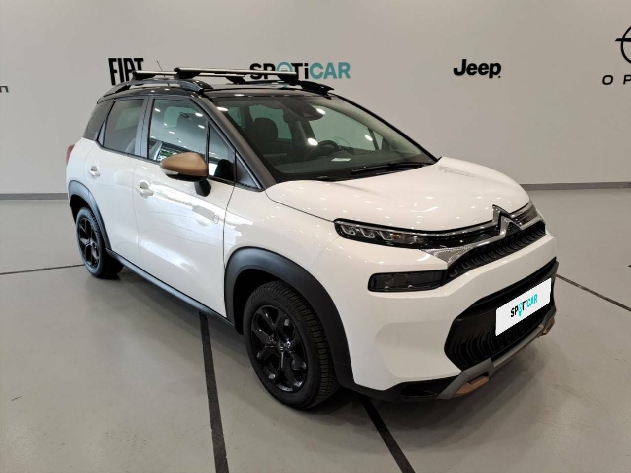 citroën c3 aircross 2022 / foto grande (3)