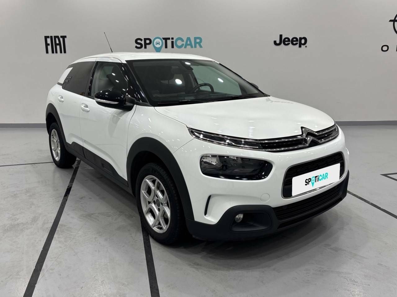 citroën c4 cactus 2019 / foto grande (3)