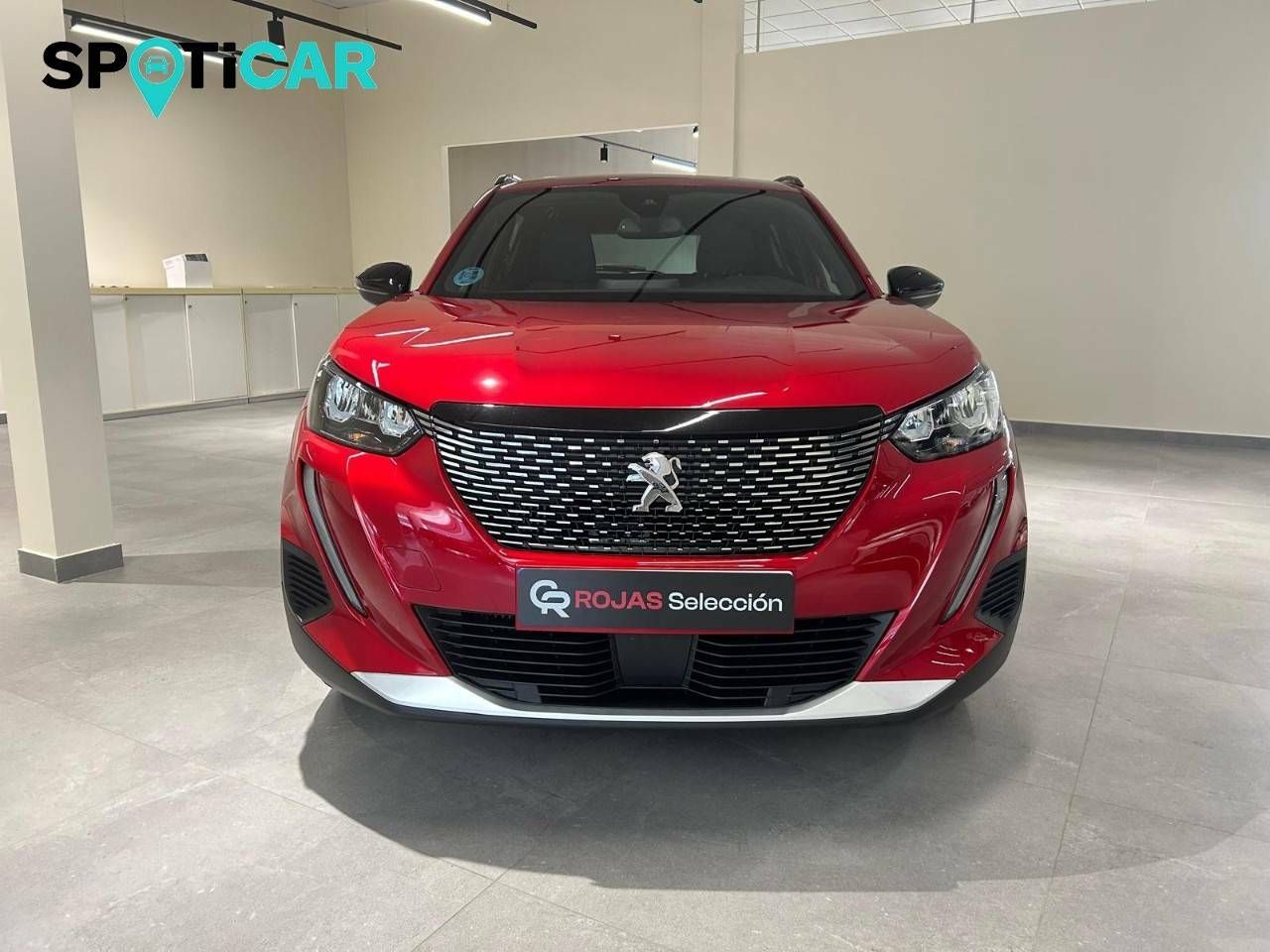 peugeot 2008 2023 / foto grande (2)