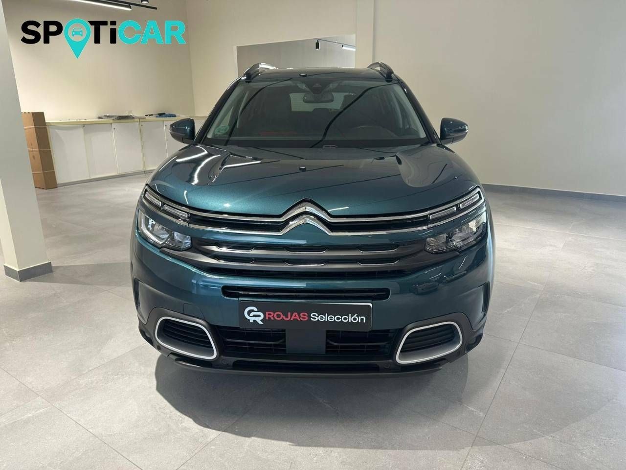 citroën c5 aircross 2019 / foto grande (2)