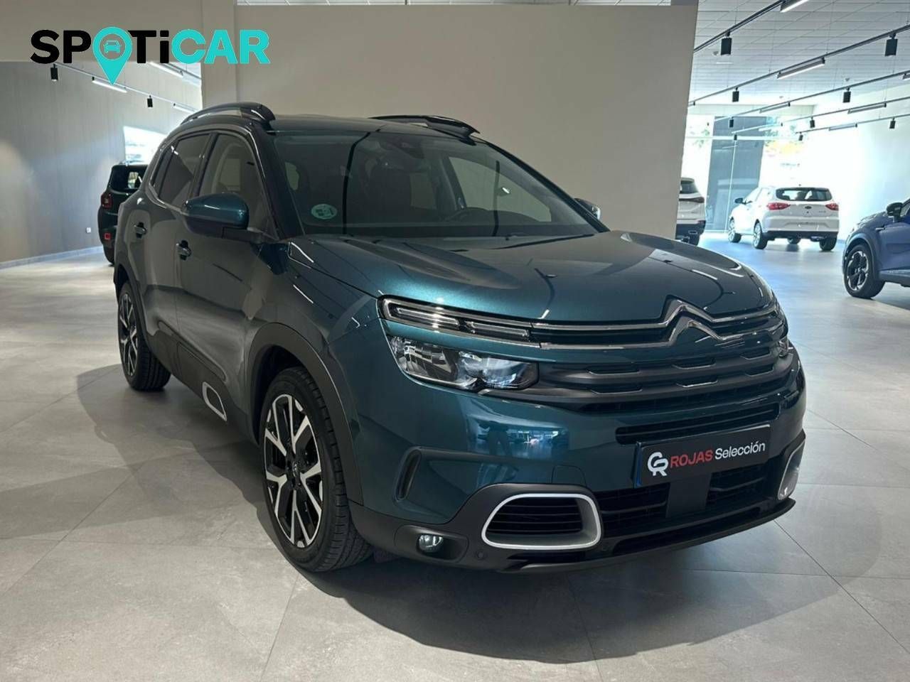 citroën c5 aircross 2019 / foto grande (3)