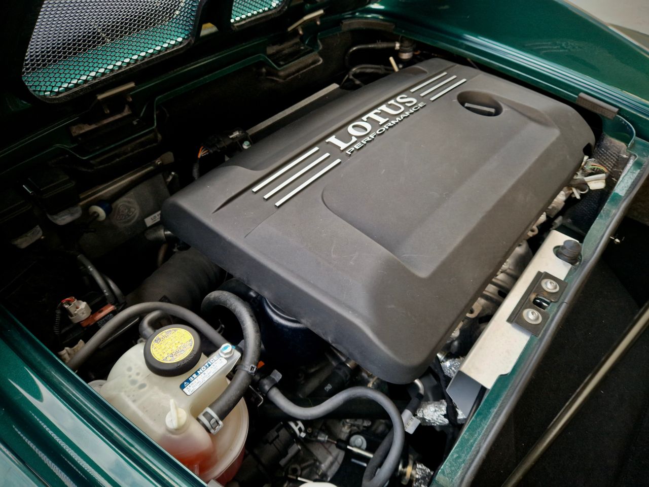 Lotus Elise 20 aniversario - Foto 30