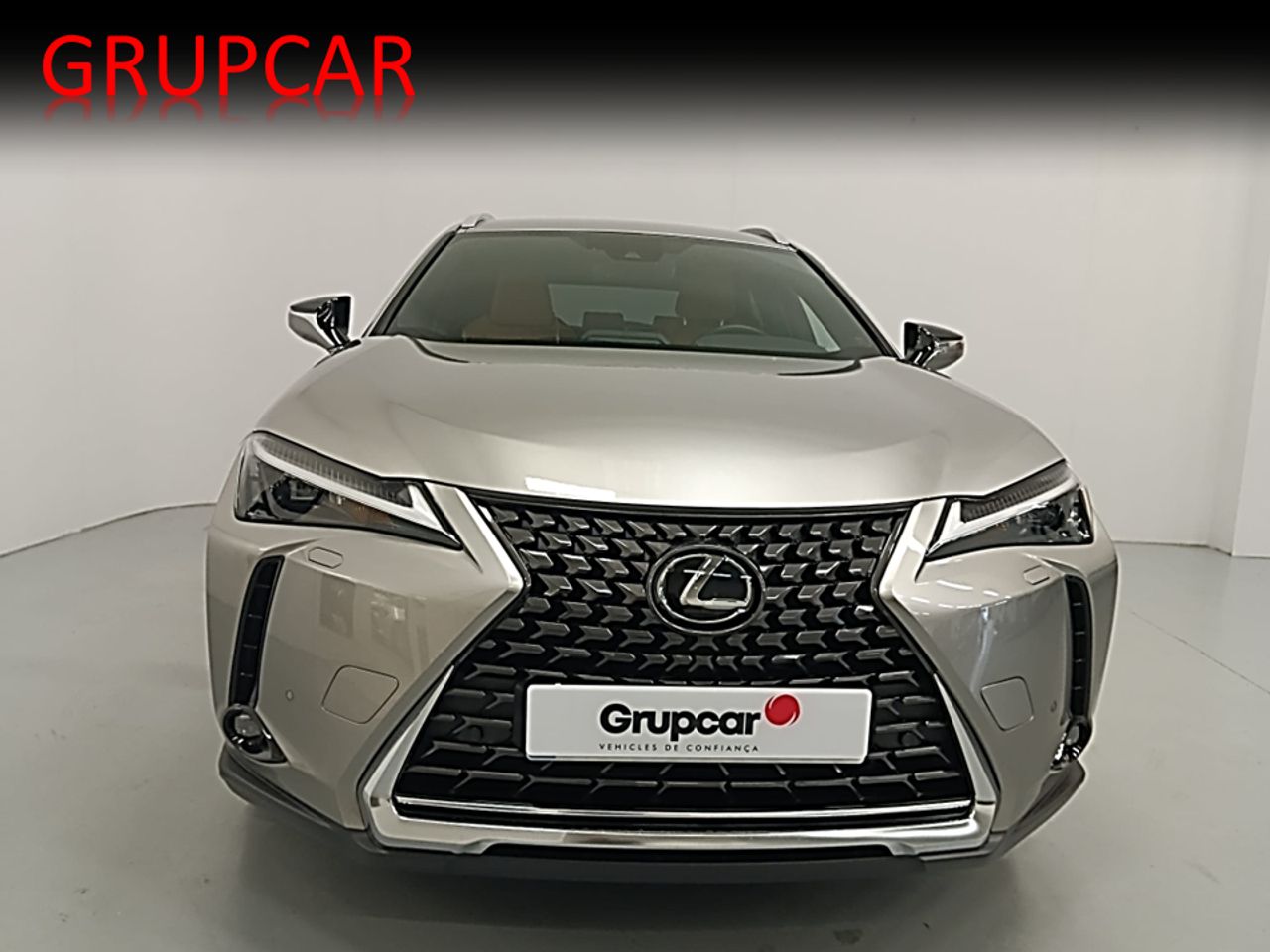 lexus ux 2024 / foto grande (2)