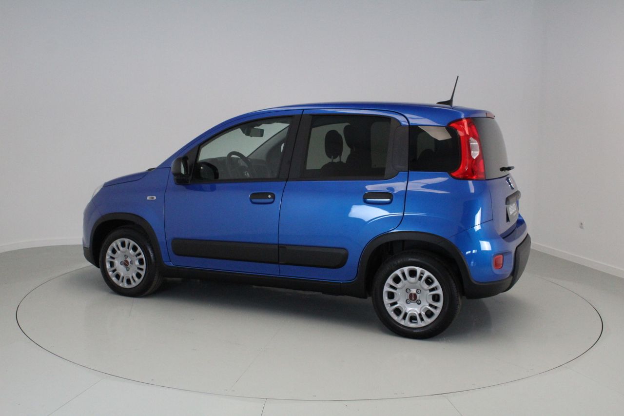 fiat panda 2025 / foto grande (3)