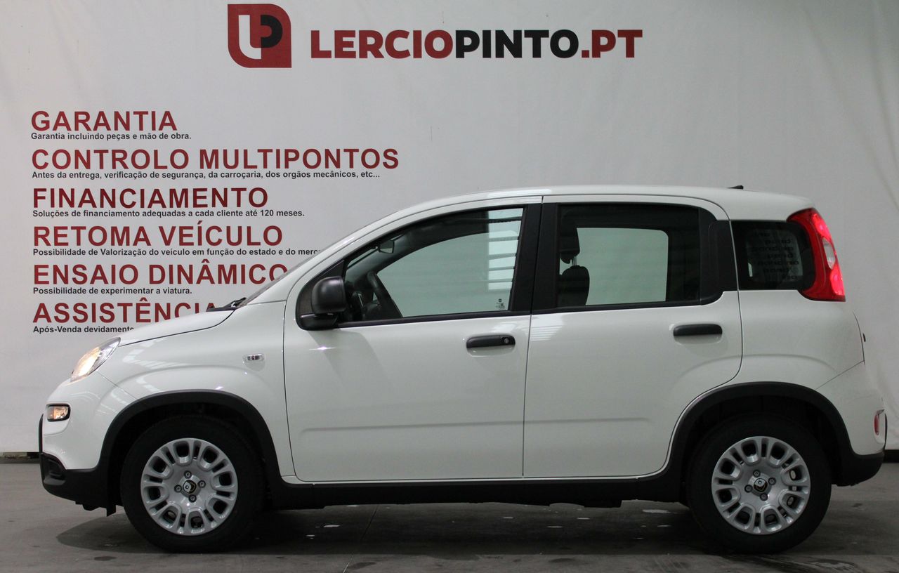 fiat panda 2024 / foto grande (2)