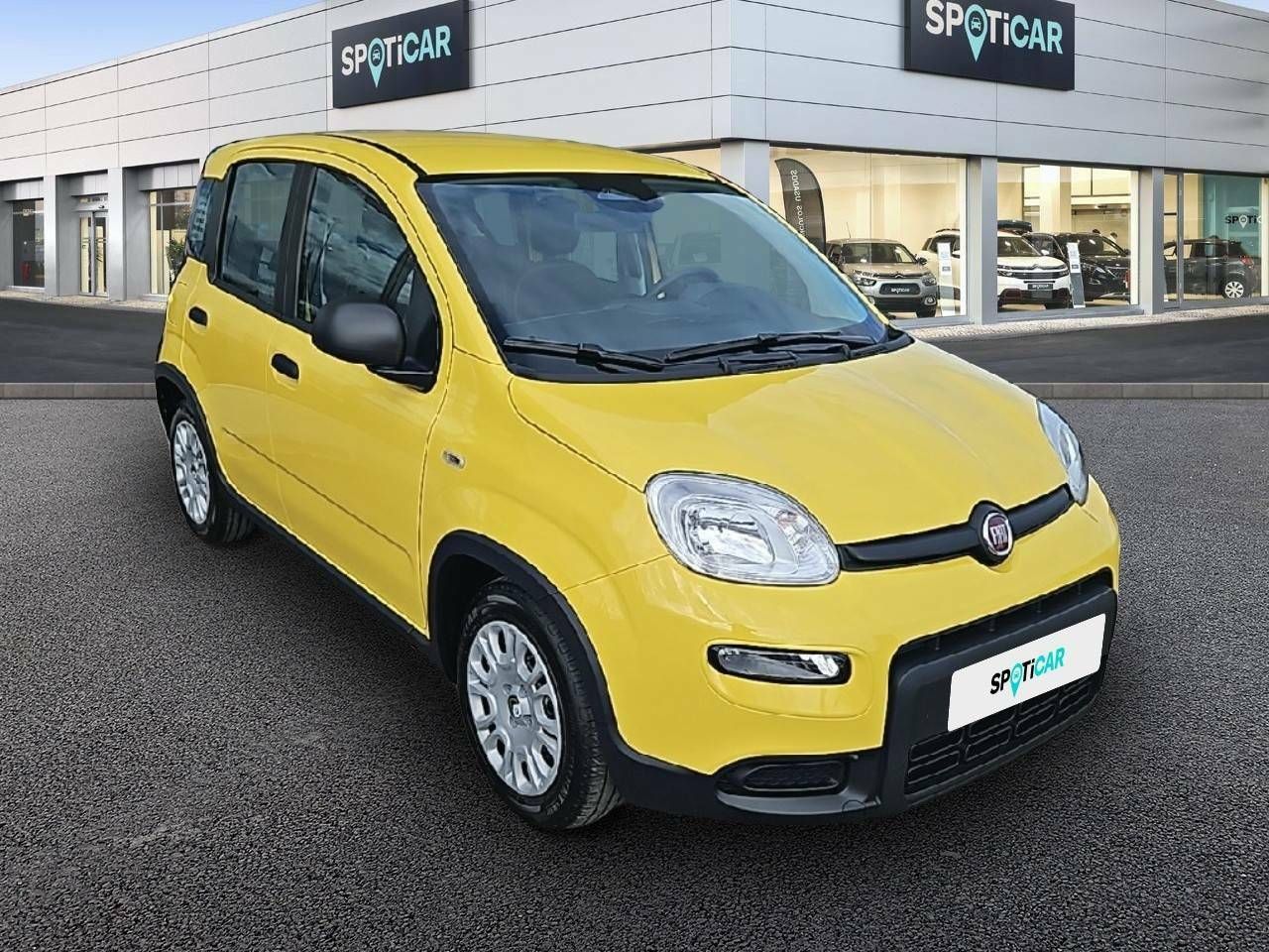 fiat panda 2025 / foto grande (3)