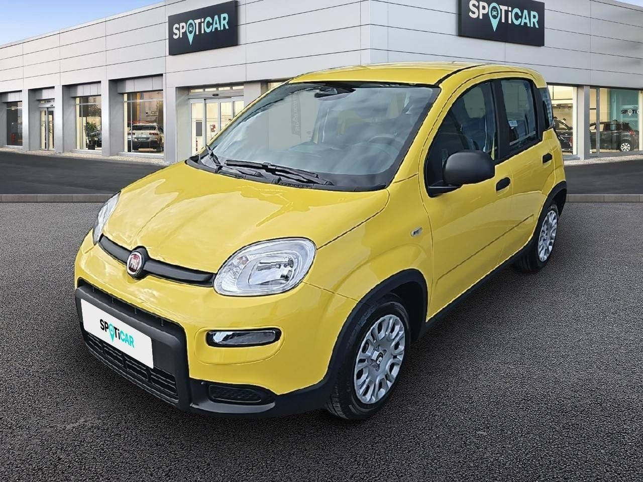 Foto fiat panda 2025 /