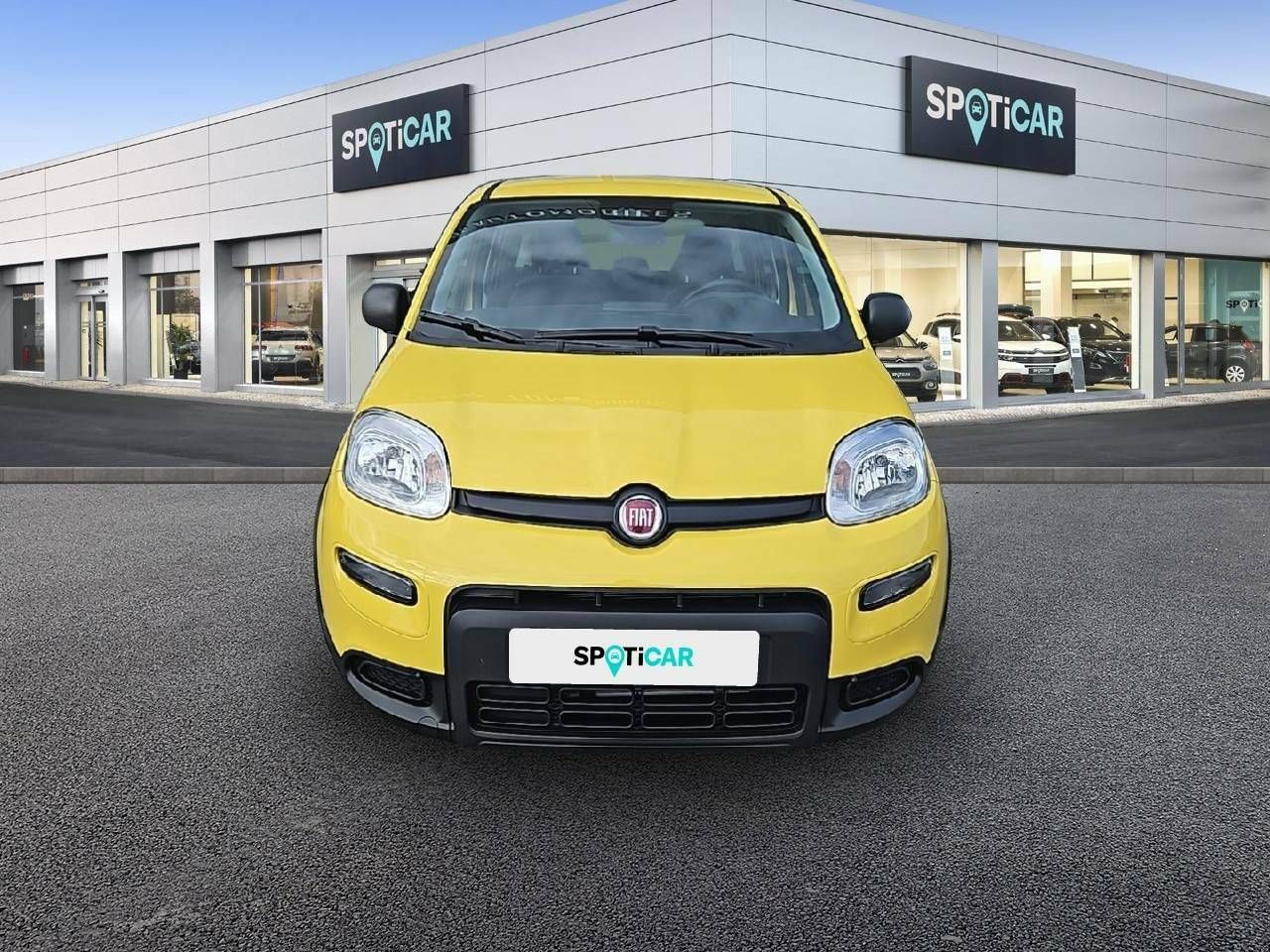 fiat panda 2025 / foto grande (2)