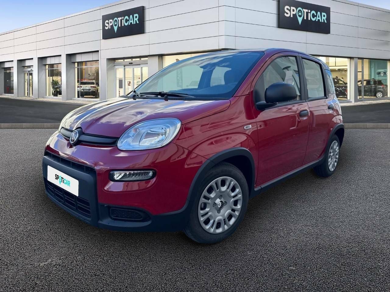 Foto fiat panda 2025 /