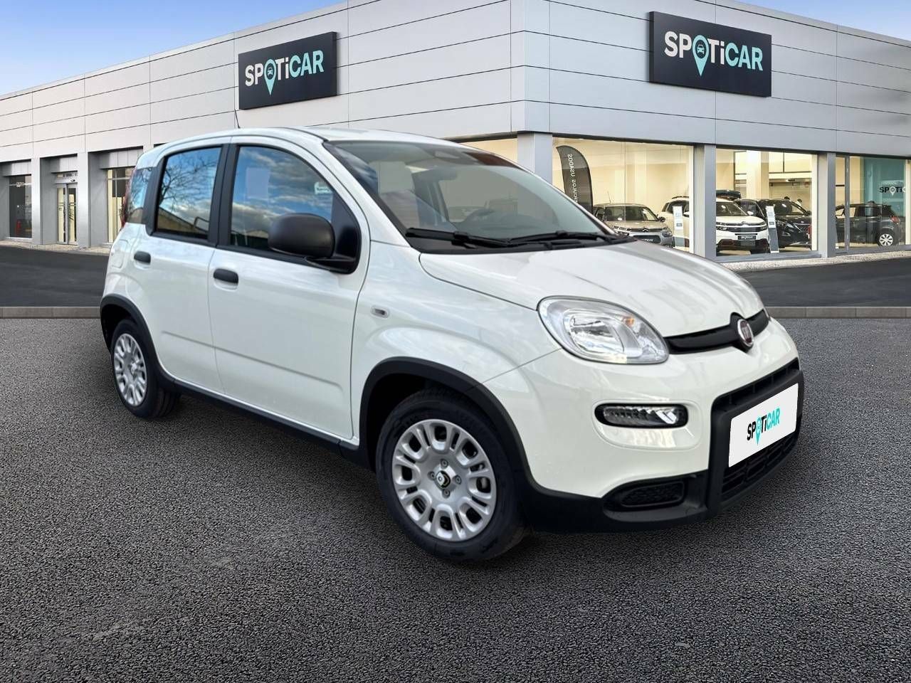 fiat panda 2025 / foto grande (3)