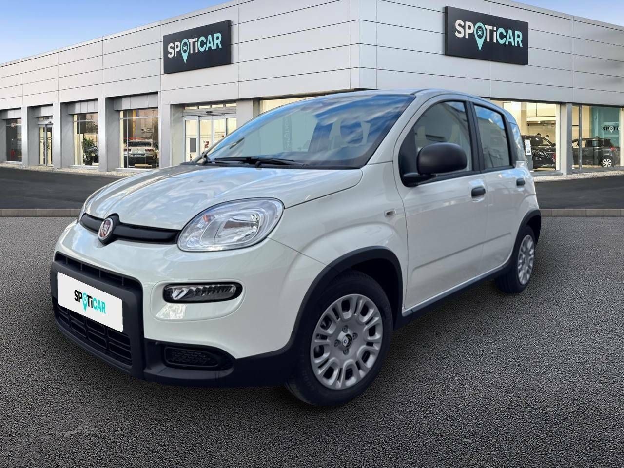 Foto fiat panda 2025 /