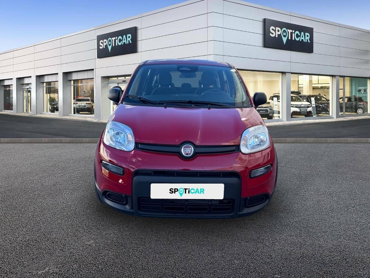 fiat panda 2025 / foto grande (2)