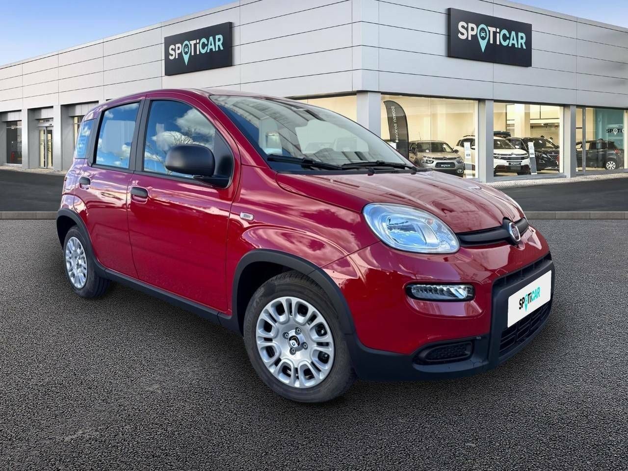 fiat panda 2025 / foto grande (3)