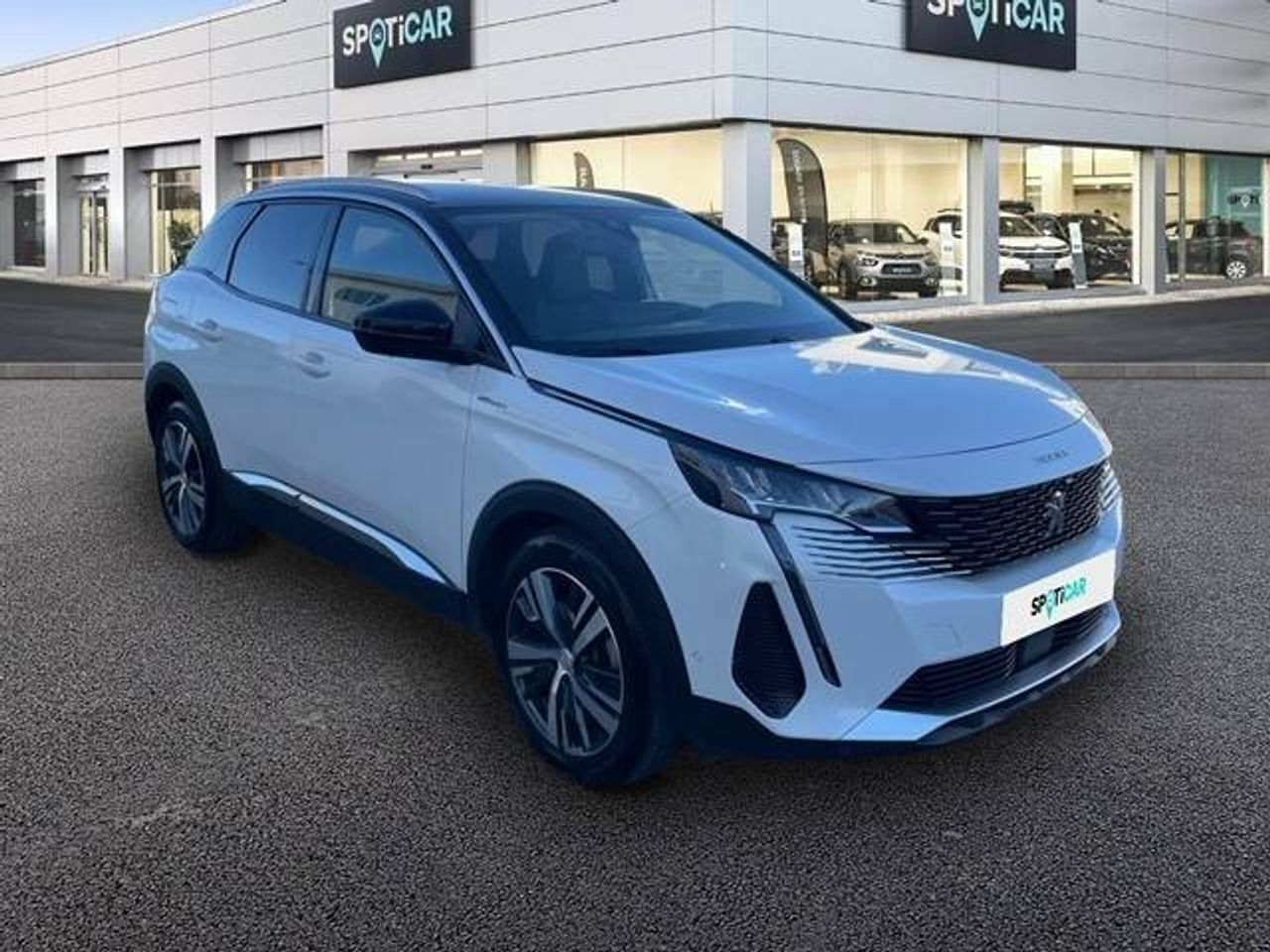 peugeot 3008 2021 / foto grande (3)