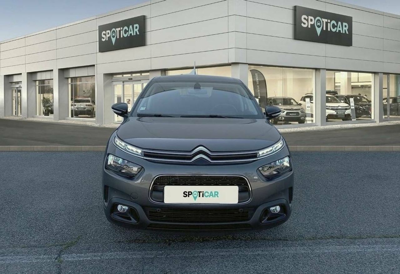 citroën c4 cactus 2019 / foto grande (2)