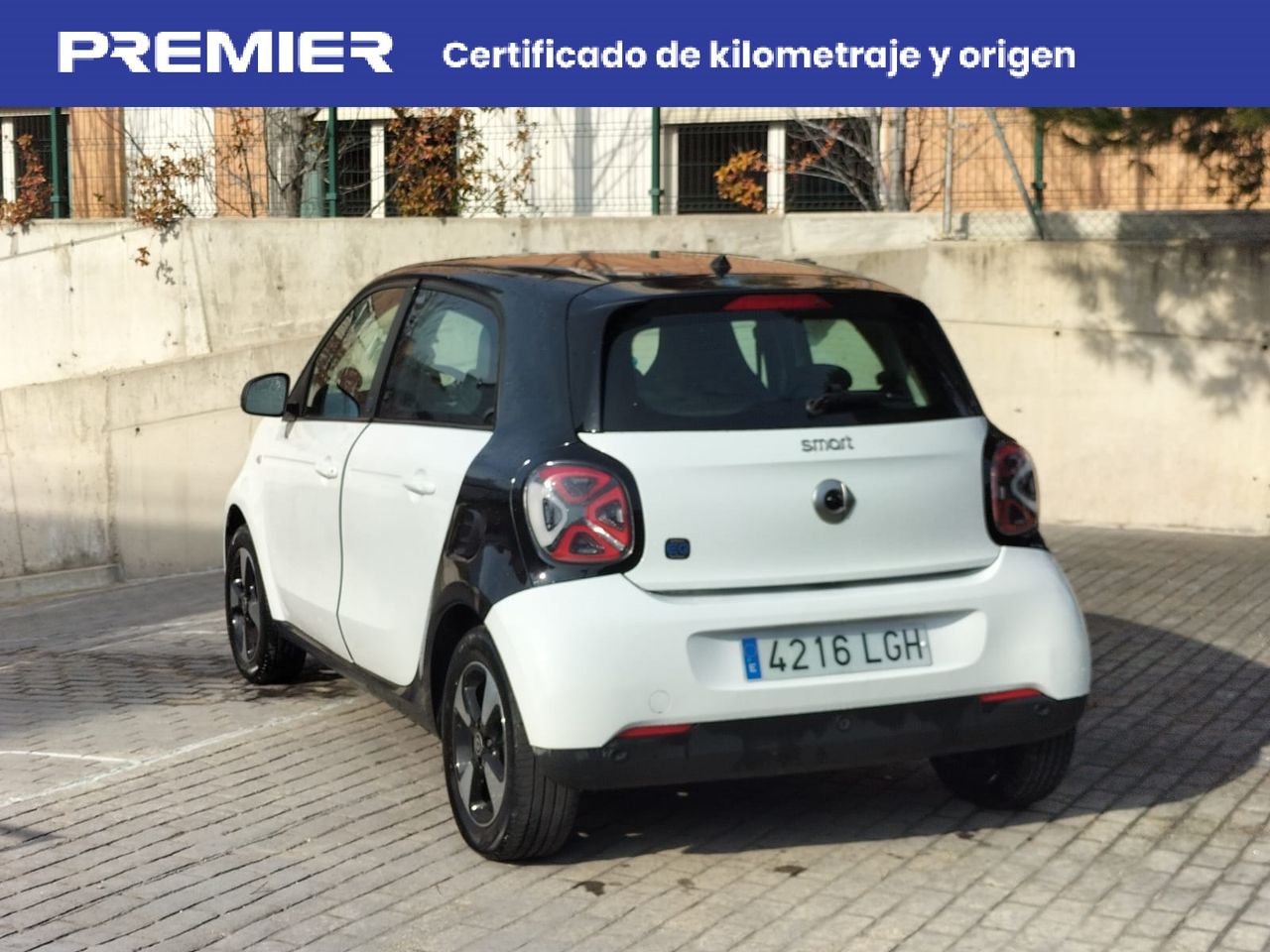 smart forfour 2020 / foto grande (2)