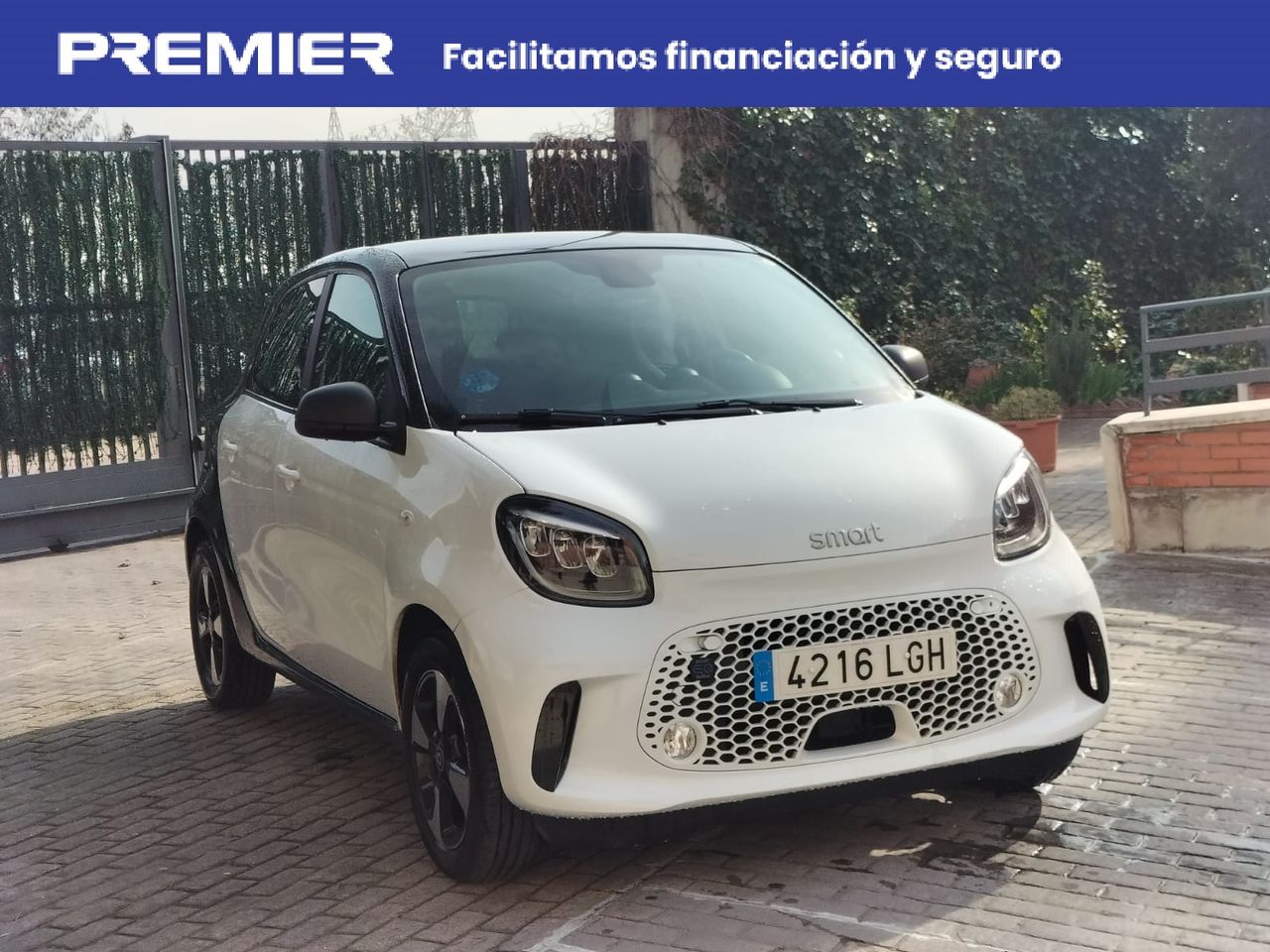 smart forfour 2020 / foto grande (3)