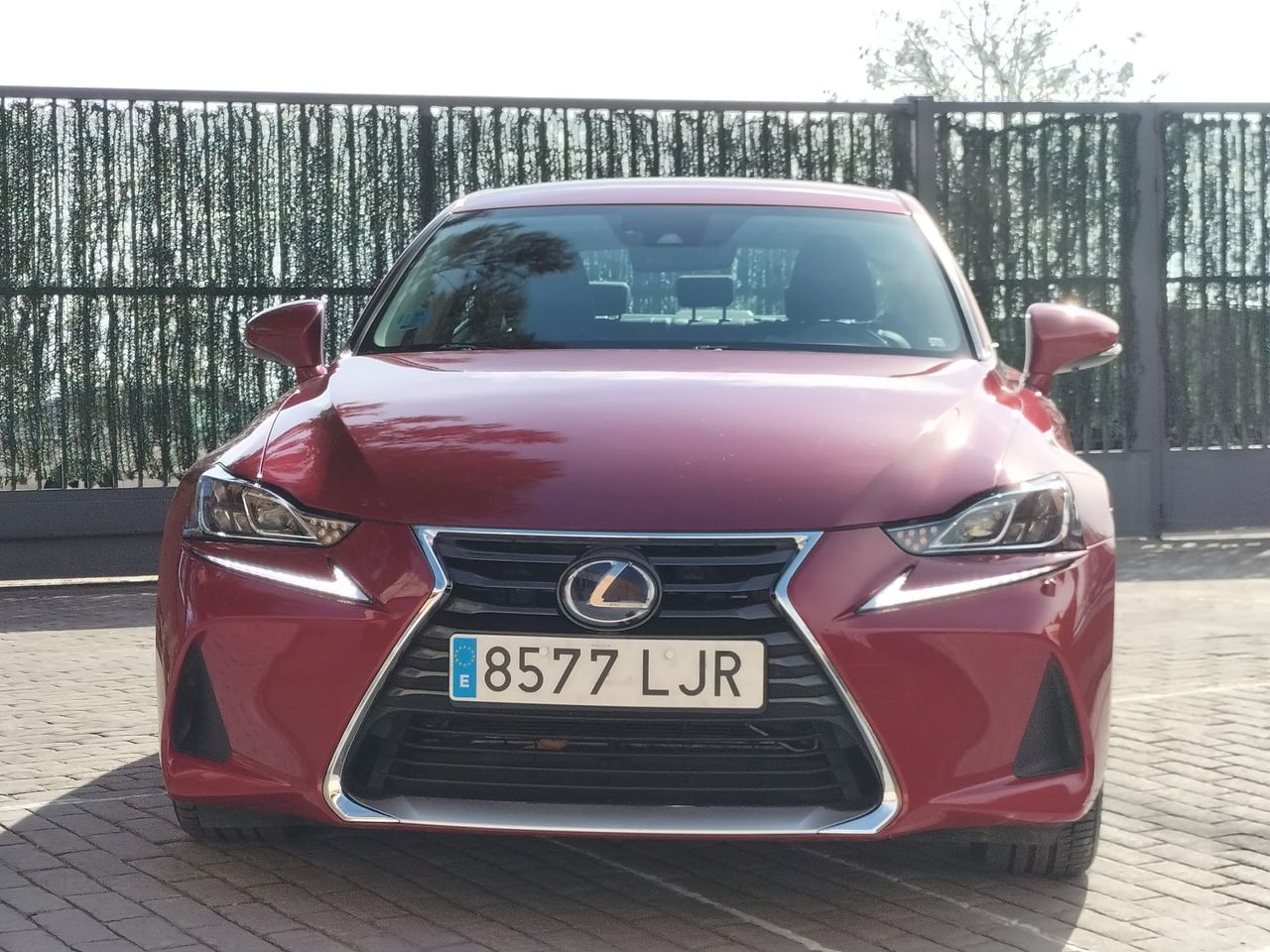 lexus is 2020 / foto grande (2)