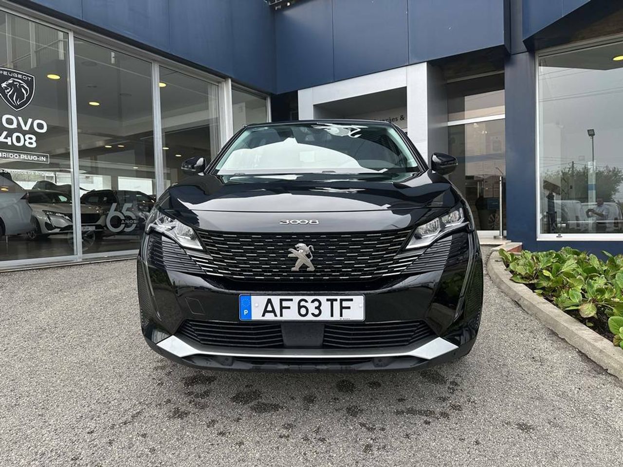 peugeot 3008 2021 / foto grande (2)