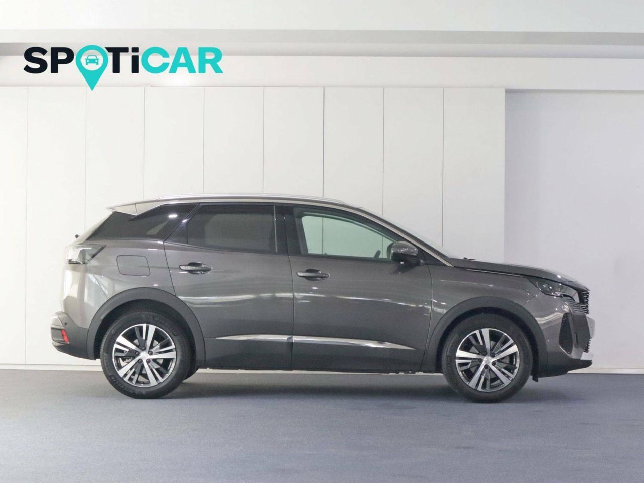 peugeot 3008 2021 / foto grande (3)