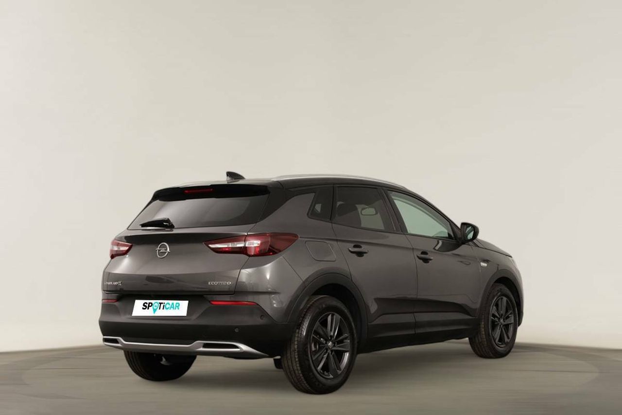 opel grandland x 2020 / foto grande (3)