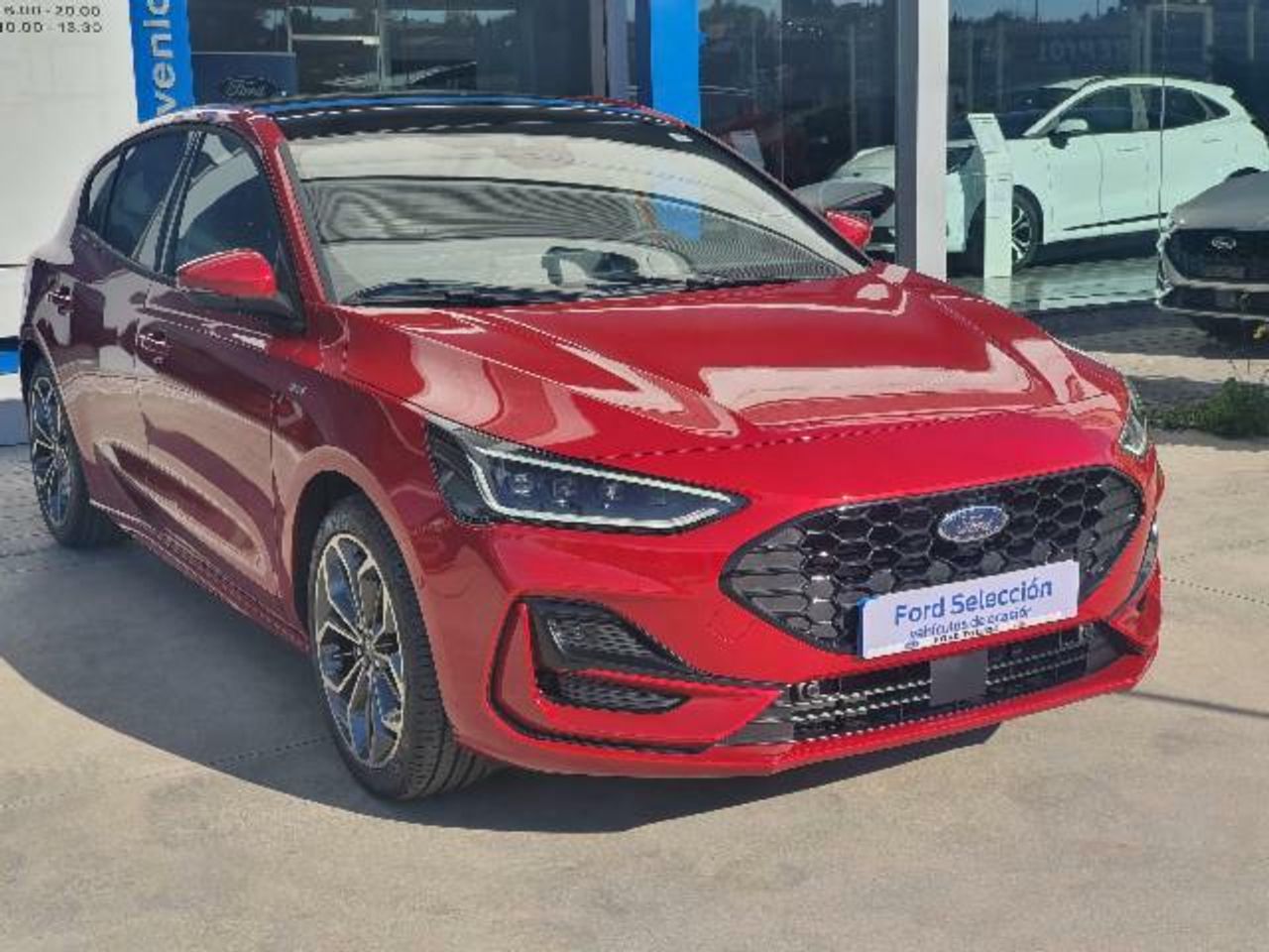 ford focus 2023 / foto grande (3)