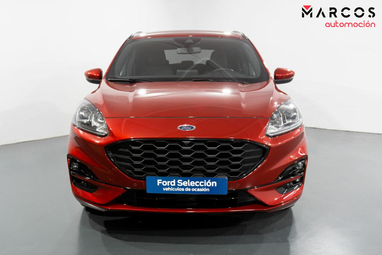 ford kuga 2021 / foto grande (2)