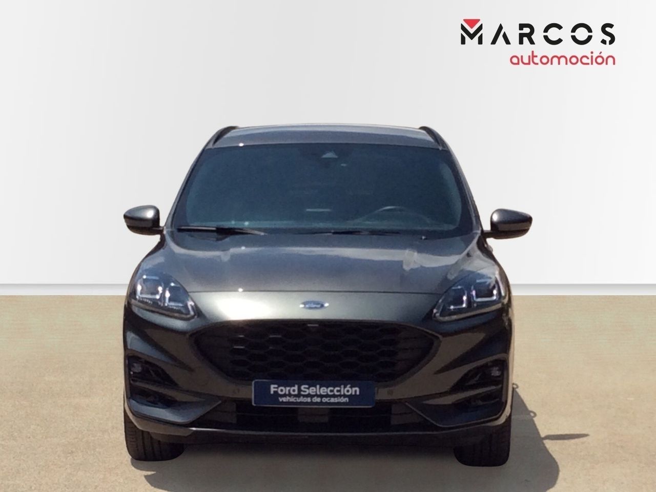 ford kuga 2021 / foto grande (2)
