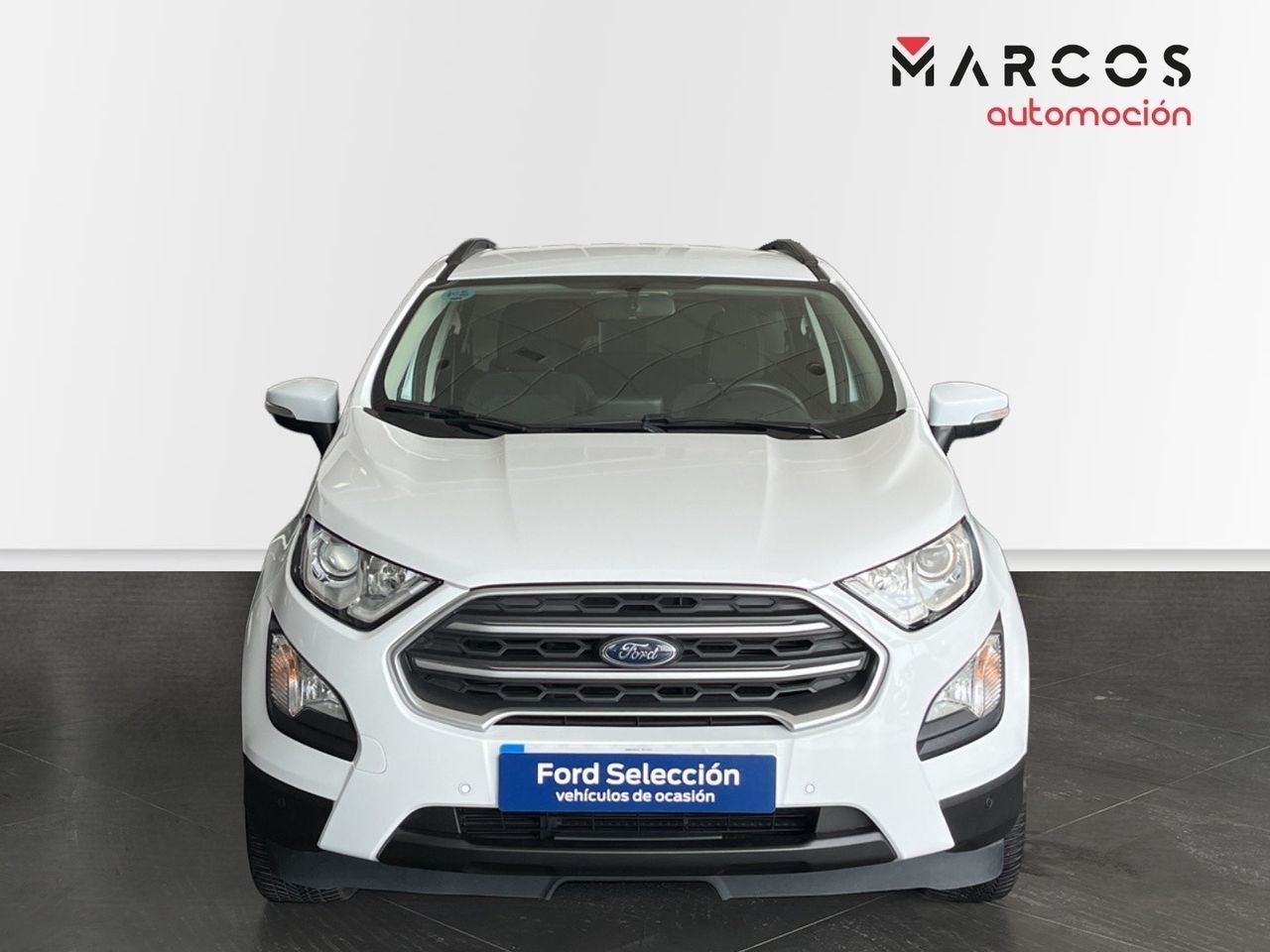 ford ecosport 2019 / foto grande (2)